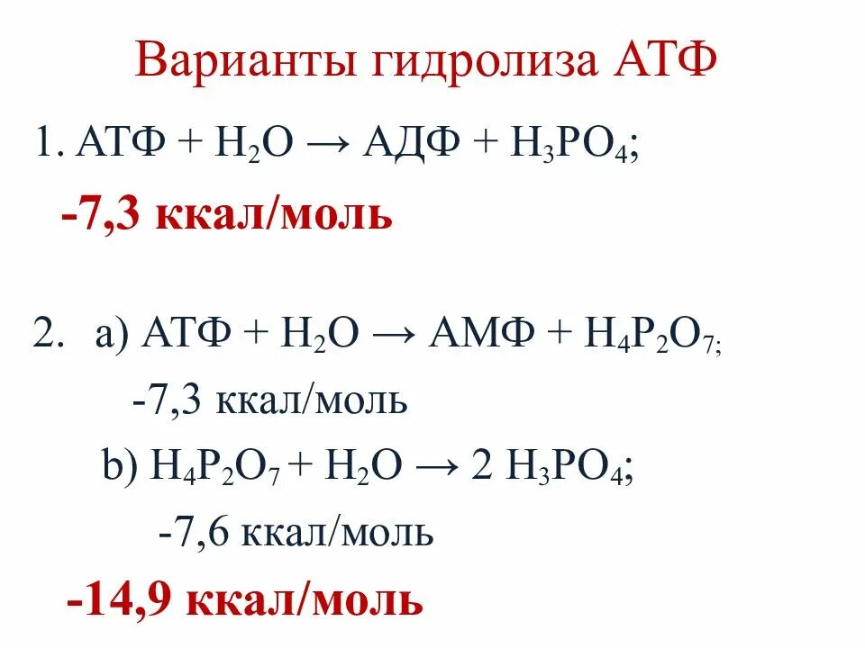 Атф н2о. Гидролиз АТФ. Первая ступень гидролиза АТФ. АТФ формула.