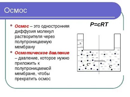 Закон осмоса биология