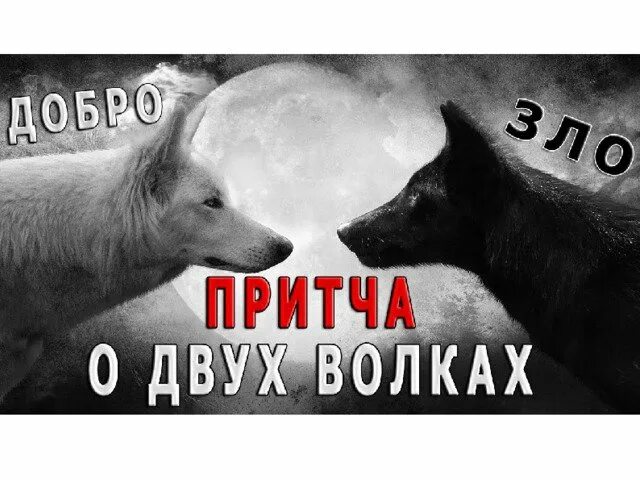 Два волка добро и зло притча. Два волка добро и зло. Притча 2 волка. Индейская притча о двух волках. Притча о злом волке.