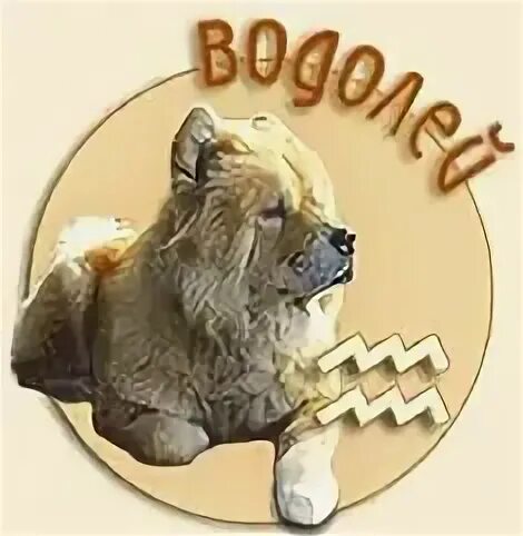 Водолей собака