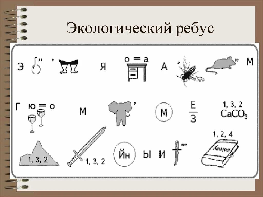 Ребусы. Экологические ребусы. Головоломки по экологии. Ребус экология. Ребус среда