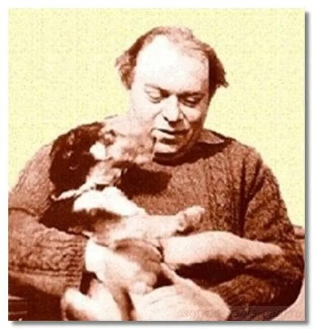 Заходер кошка