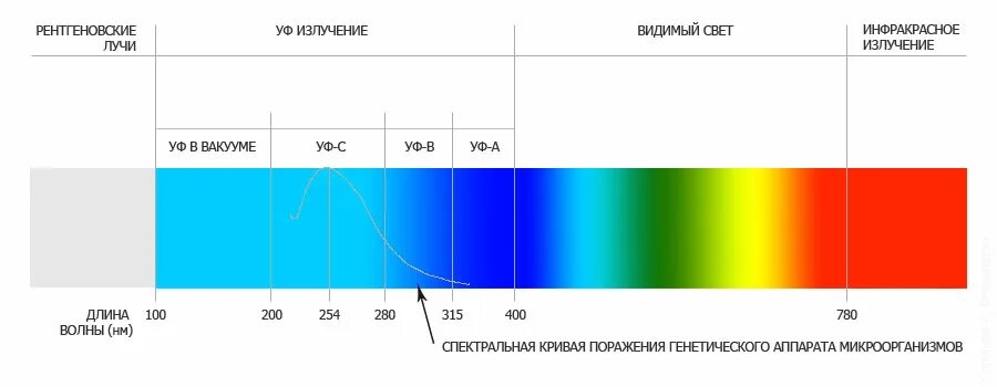 Диапазон спектра УФ излучения. УФ область спектра длина волны. Диапазон УФ излучения длина волны. УФ излучение длина волны. Ультрафиолетовую часть спектра видит