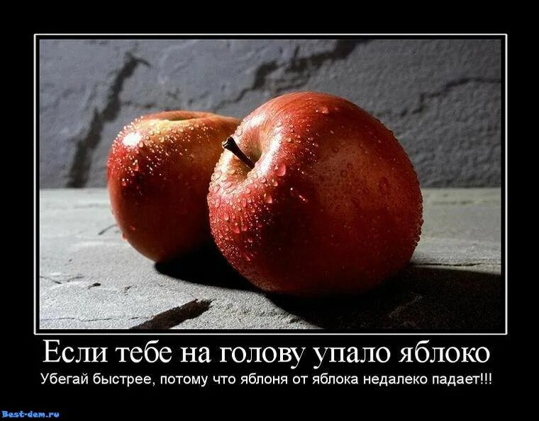 Яблоня от яблони далеко не падает