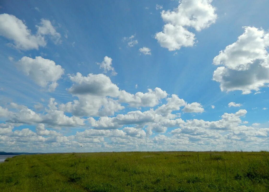 летнее небо. красивые облака. небо над морем. лес и небо. луга калининградской области.