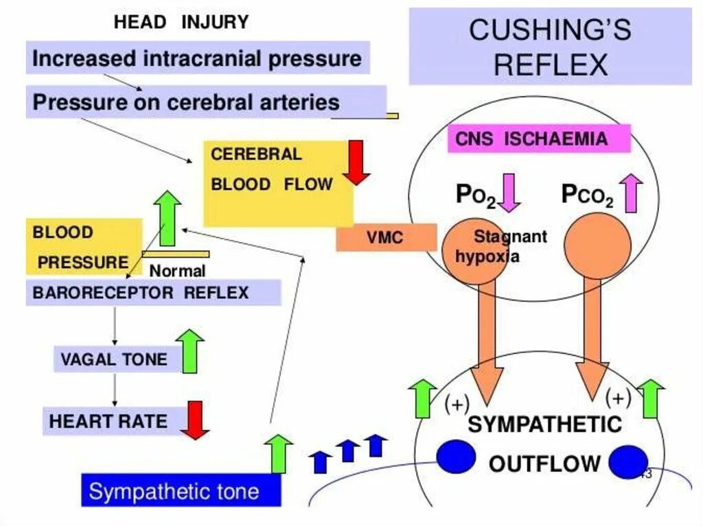Рефлекс Кушинга механизм. Реакция Кушинга физиология. Рефлекс Кушинга схема.