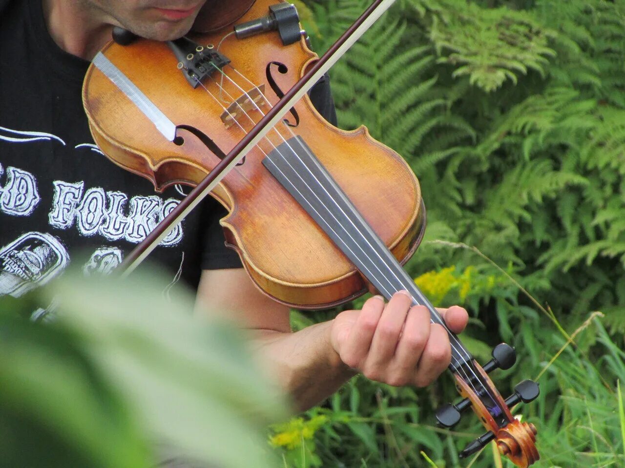 Музыка скрипки без слов слушать. Скрипка. Скрипка на природе. Скрипка фото. Скрипачи в саду.