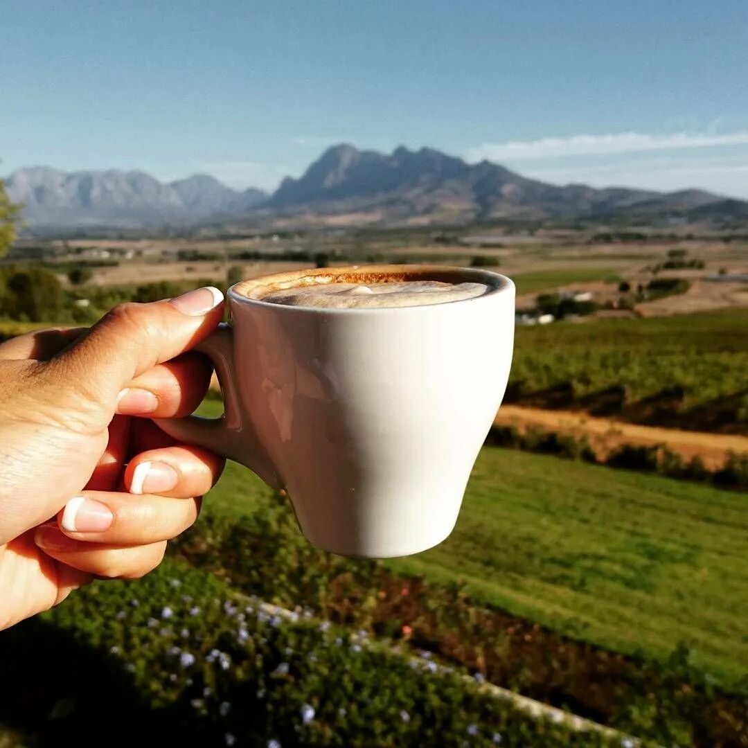 Кофе на природе. Кофе в горах. Утренний кофе в горах. Чашка кофе на природе.
