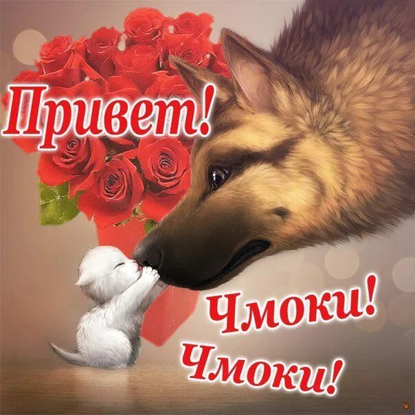 Привет любимая моя. Привет зайчик. Приветик зайка. Открытка привет любимая. Открытка любимому.