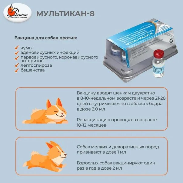 Прививки для собак мультикан 8. Схема вакцинации мультикан 6-8. Мультикан 8 схема вакцинации. Мультикан-6 график прививок для щенков. Вакцина мультикан для собак купить