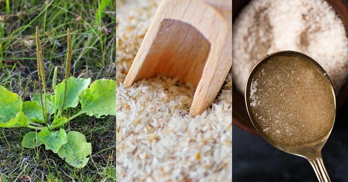 Купить псиллиум. Цена: 130грн. - 200г. - psyllium Трава, Витамины, Минералы