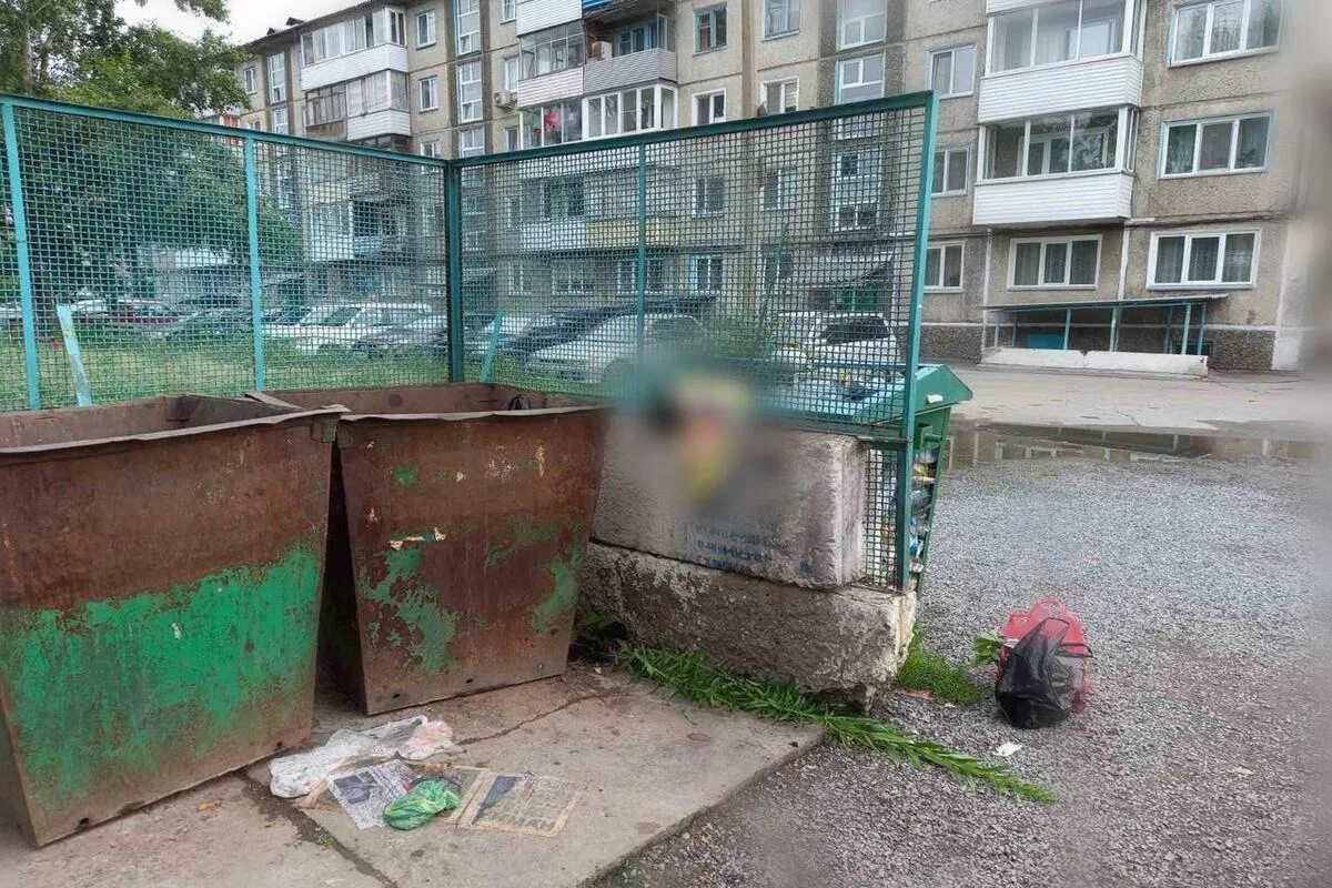 Ребёнок в мусорке в коробке. Мусоросборник в доме. Трупы в мусорных контейнерах. Тело младенца нашли в мусорном контейнере. Ребенка выбросили в мусорку.