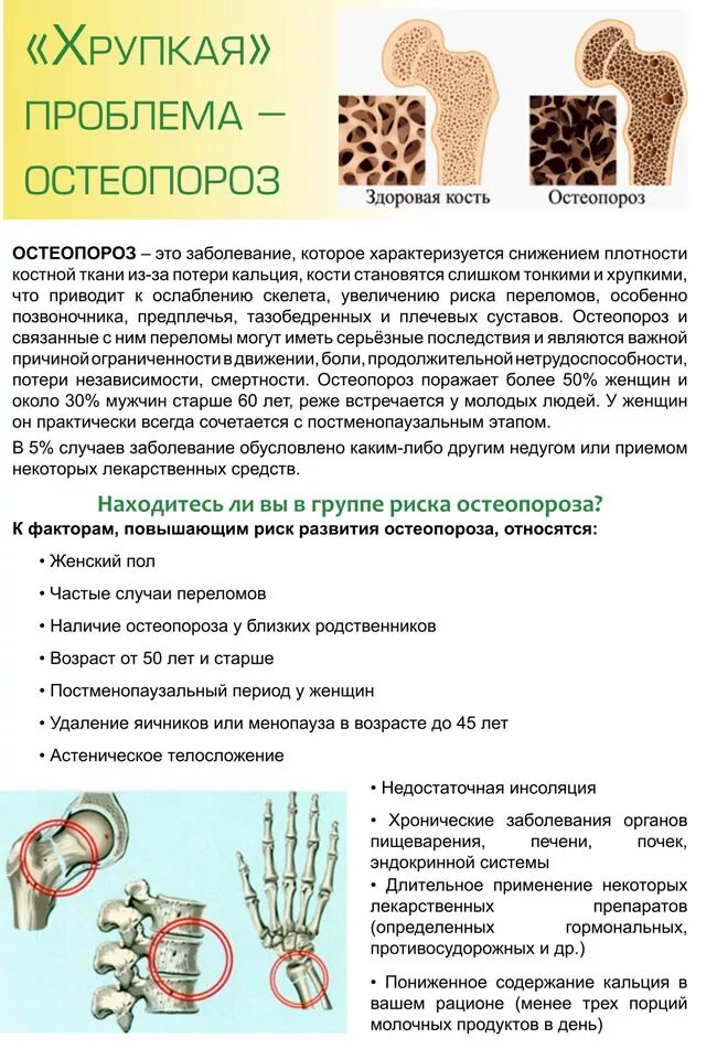 Остеопороз у молодых. Остеопороз. причины возникновения остеопороза кратко. остеопороз причины заболевания.