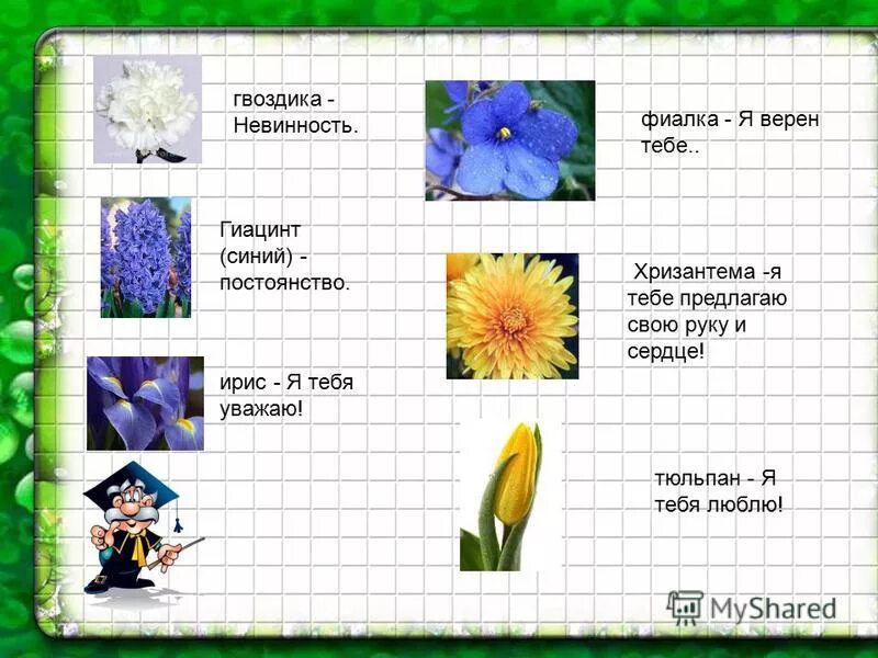 словарик невербальных средств общения
