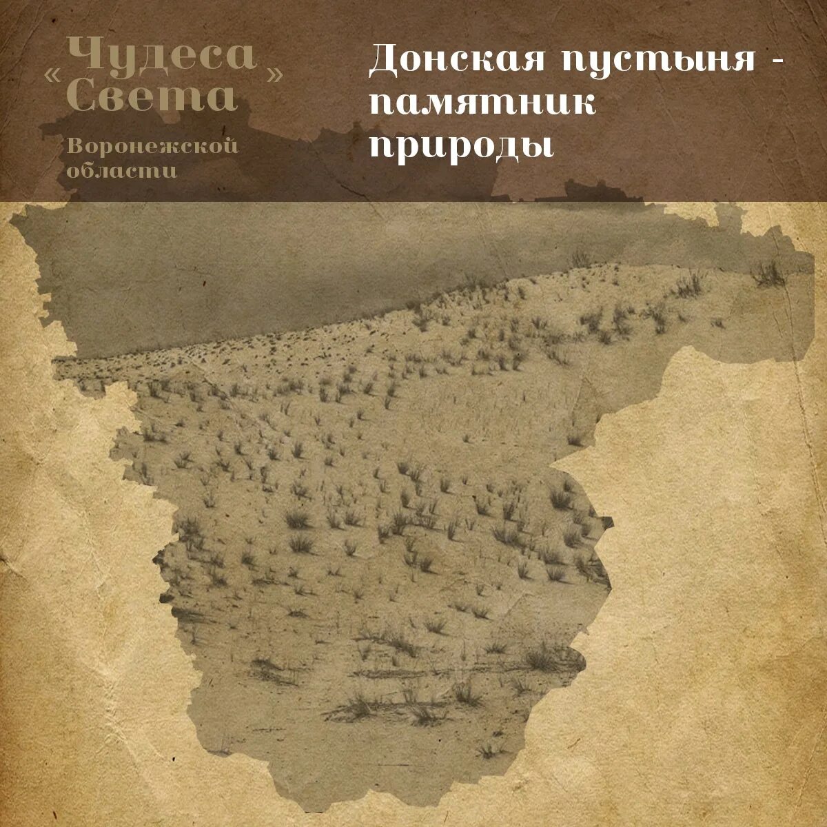 Донская пустыня воронежская область. Донская сахара воронежская область. Донская сахара воронежская область. Донская сахара (дюнные всхолмления). Донская пустыня воронежская область.