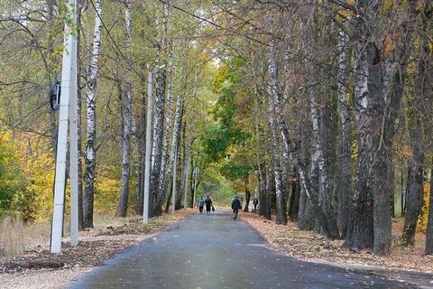 Бежица брянск