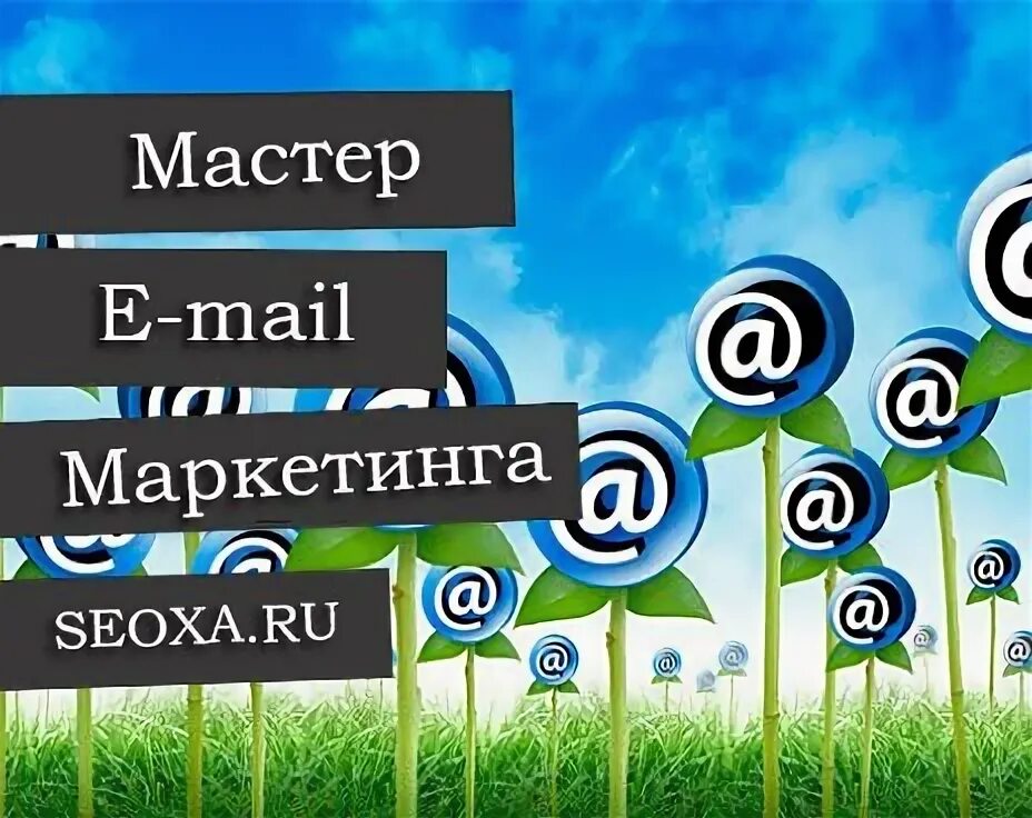 Мастер майл. Мастер маркетинга.