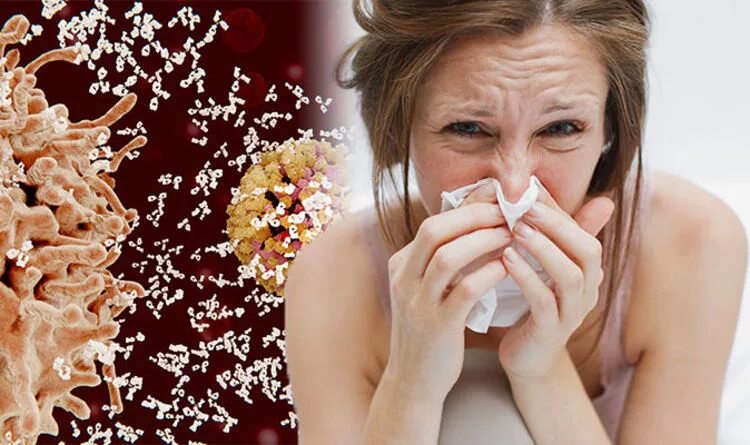 Ослабление иммунитета. Weak immune system. ослабленный иммунитет. ослабление иммунной системы. что снижает иммунитет у человека.