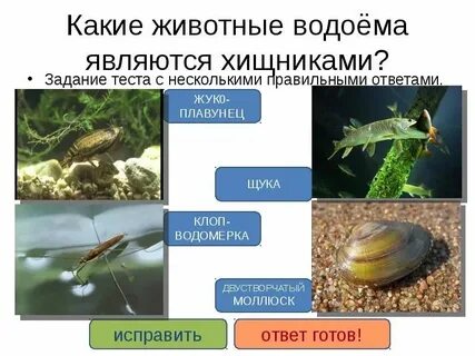 Пресный это какой