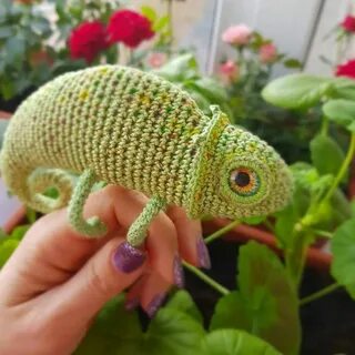 Хамелеон крючком