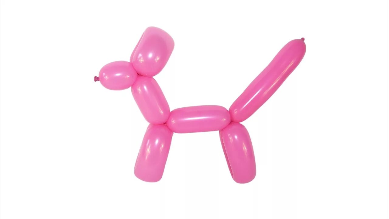 Как сделать собаку из шаров. ШДМ собачка. Собачка из ШДМ. Фигуры из шаров для моделирования. Фигурки из воздушных шаров длинных.