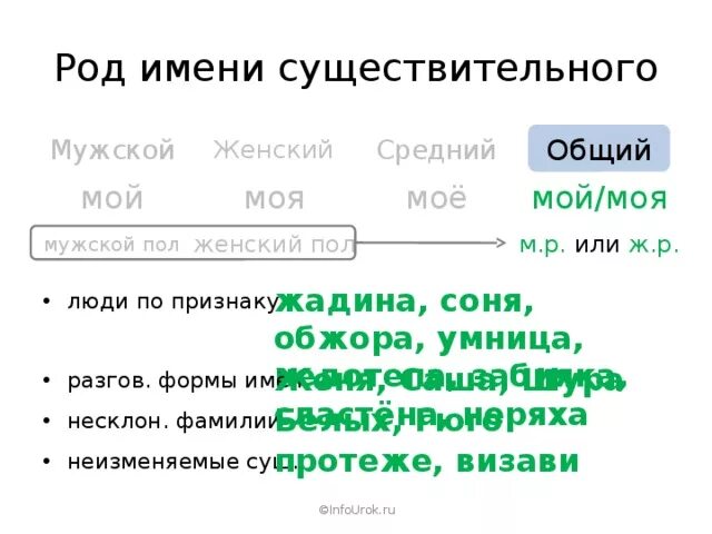 Род слова добро. Род имени существительного умница. Род имён существительных Обжора. Жадина какой род существительного. Род имён существительных. Имена существительные общего рода.