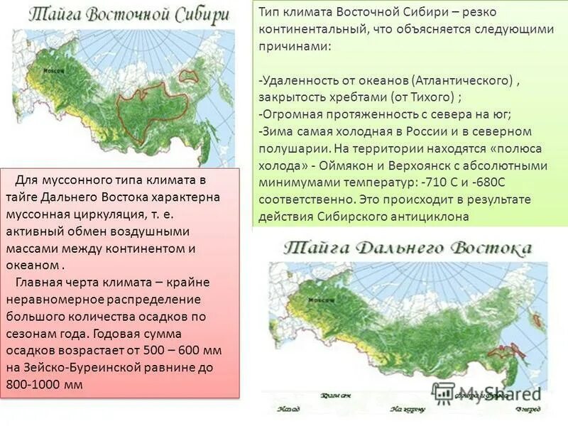 Географическое положение тайги 8 класс. Тип климата Восточной Сибири. Восточная Тайга географическое положение. Восточная Сибирь климат континентальный. Географическая характеристика тайги.