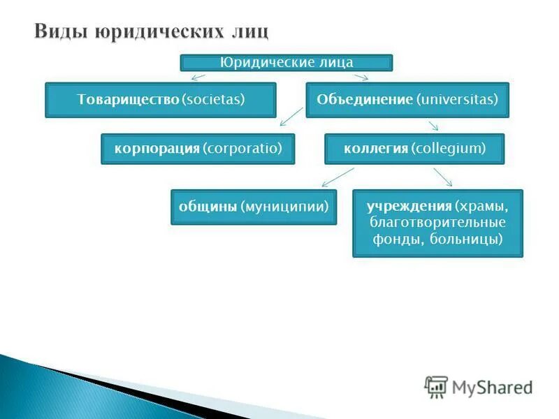 Виды юридических лиц. Понятие и виды юридических лиц. Виды юридических лиц в римском праве. Понятие юридического лица в римском праве.