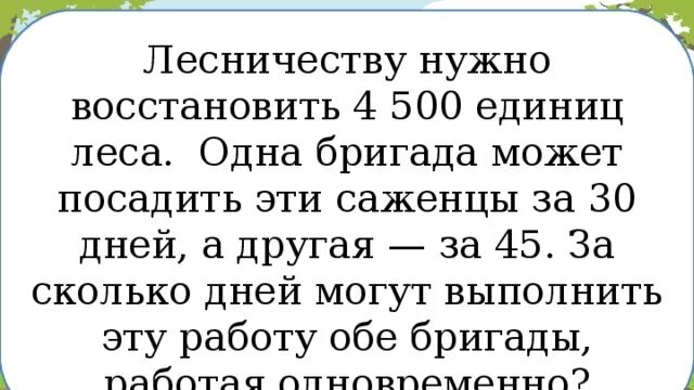 Одна бригада может посадить 600 деревьев