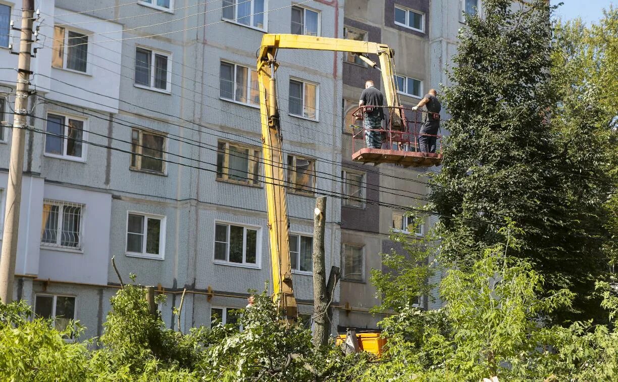 Спил деревьев управляющей компанией. Тула ук ваш дом фрунзе 22 спилили дерево под окном видео.