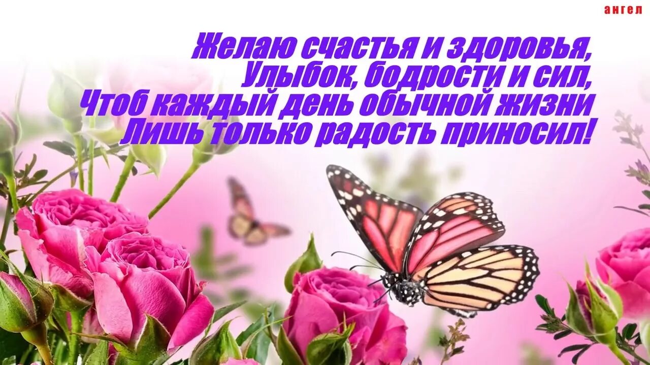 Песня пожелание счастья. Желаю счастья и здоровья улыбок бодрости. Пожелания здоровья и бодрости. Желаю счастья здоровья. Желаю счастья и здоровья желаю бодрости и сил.