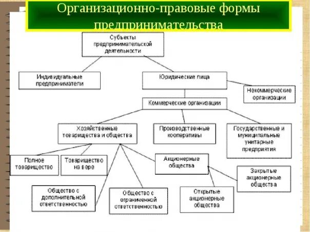 Формы предпринимательской деятельности егэ задания. Организационные правовые формы предпринимательства схема. организационные правовые формы предпринимательской деятельности. правовые формы предпринимательства схема. опф осуществления предпринимательской деятельности.
