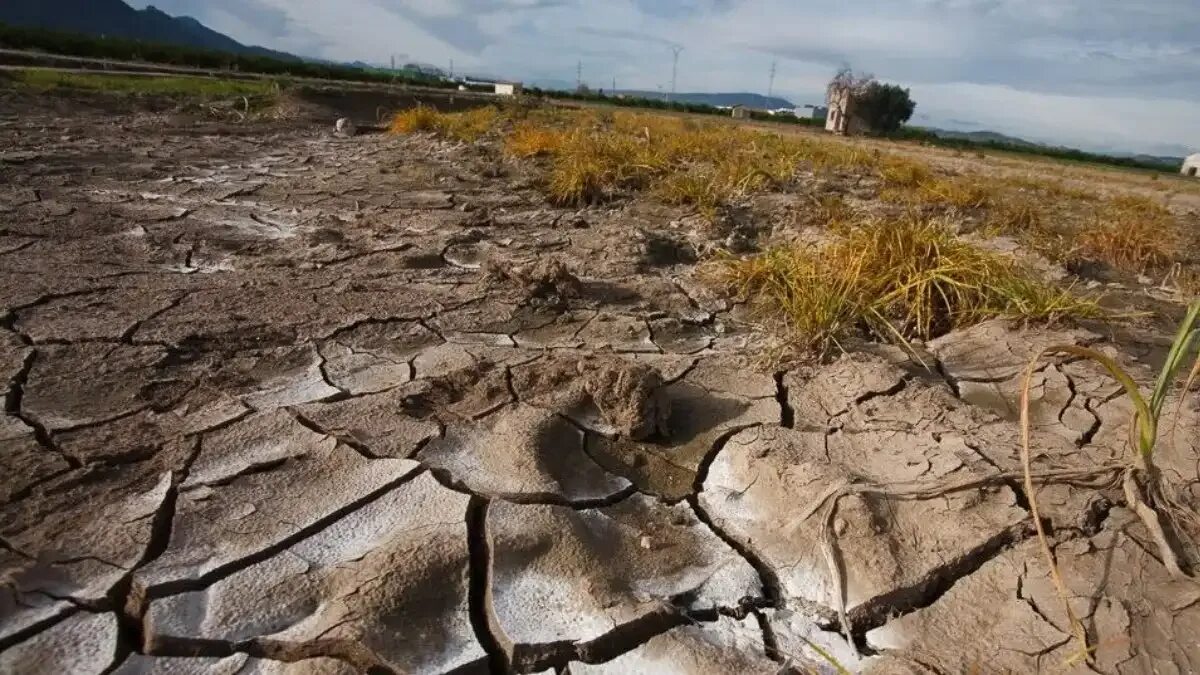 Степени деградации почв. Опустынивание. Районы опустынивания. Районы опустынивания земли. Проблема территории земли.
