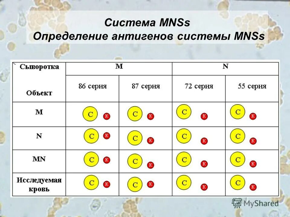 система агглютиногенов аво. Abo группа крови. группы крови антигены и антитела. система группа. предметы для системы связи.
