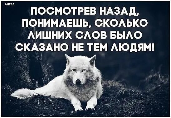 Оглядываясь назад понимаешь. Оглядываясь назад понимаешь что цитата. Оглянувшись назад понимаешь. Оборачиваясь назад понимаешь сколько. Картинки лишних слов