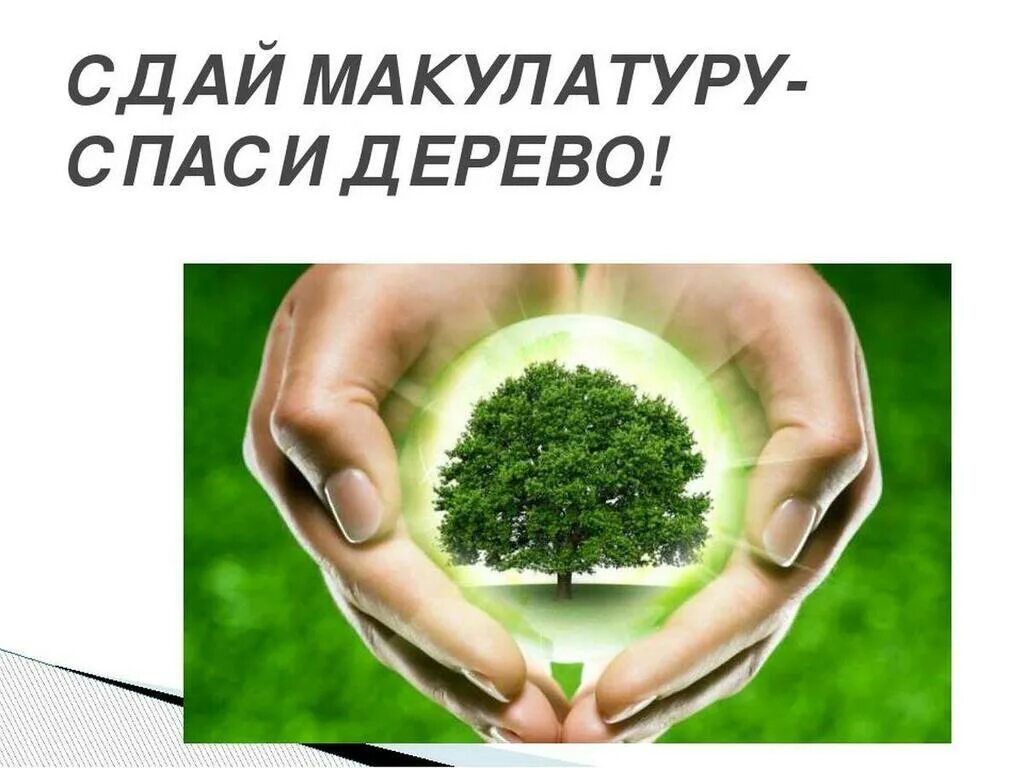 Собери макулатуру сохрани дерево. Акция сдай макулатуру спаси дерево 2025. акция собери макулатуру спаси дерево. эко-марафон переработка сдай макулатуру спаси дерево. здай малакулвтуру спаси дерево.