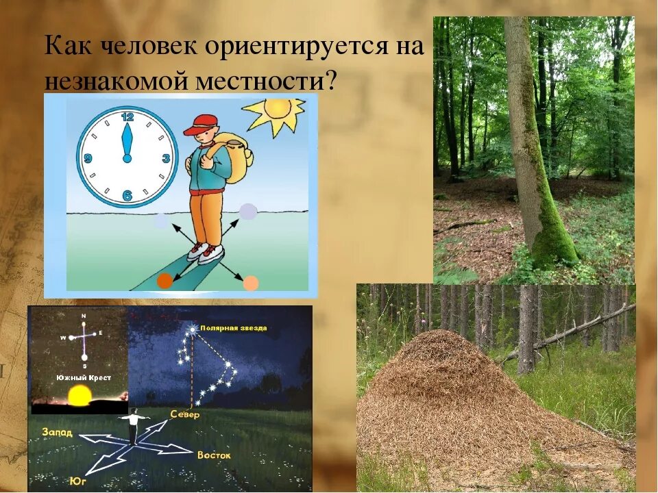 Природные признаки сторон горизонта 2 класс. Ориентирование на местности. Ориентирование наместносьи. Ориентиры на местности. Ориентирование по местности.