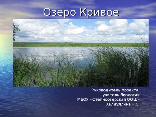 Погода кривые озера. Озеро Кривое. Озеро Кривое Архангельская область. Озеро Кривое Новосибирск на карте. МБОУ Степноозерский ООШ.