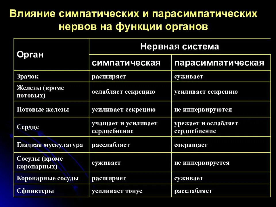 Действия симпатического и парасимпатического отделов. Парасимпатическая система и симпатическая система. Влияние симпатической нервной системы на органы. Эффекты парасимпатической нервной системы. Влияние на органы симпатической и парасимпатической нервной системы.