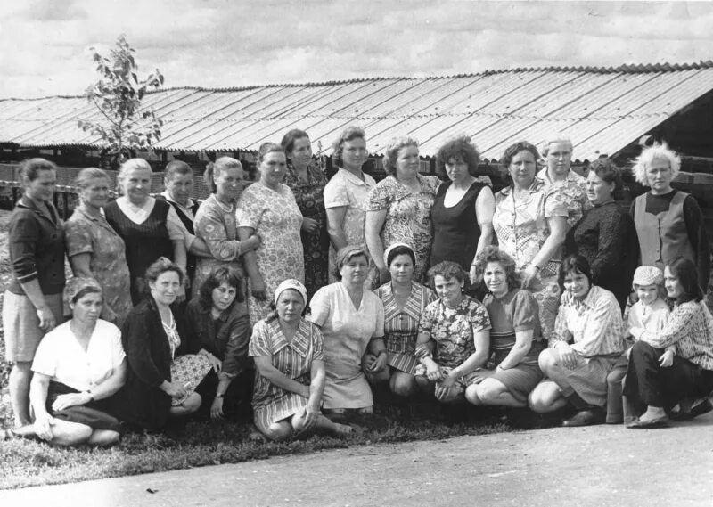 Совхоз пушкина. Совхоз пушкина