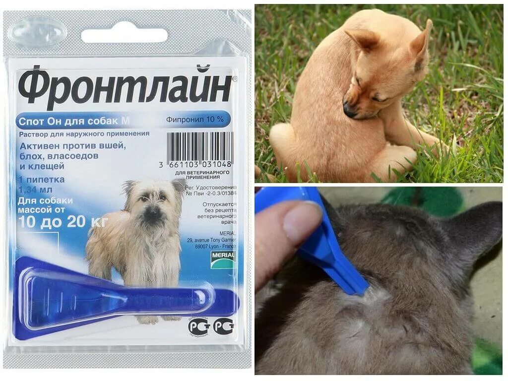 Спот он от клещей. Капли на холку фронтлайн для собак. капли от блох фронтлайн для кошек. фронтлайн фронтлайн спот-он капли для кошек от блох и клещей. капли фронтлайн комбо.