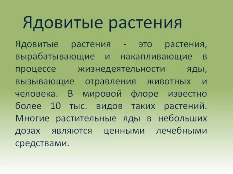 Ядовитые растения презентация. Доклад о опасных растениях. Вывод о ядовитых растениях. Сообщение о ядовитых растениях.