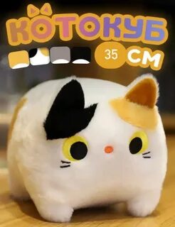 Котокуб