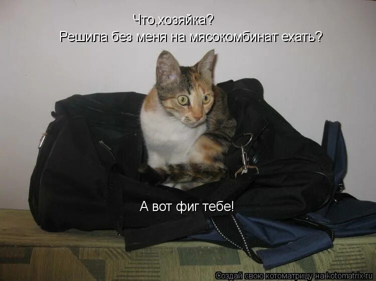 проблема решена. сама решу мем. никто не изготовит замок без ключей. решала мемы. решаешь сам без меня.