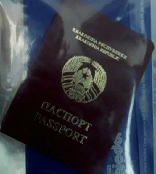 Республика кракожия на карте мира. Республика кракожия. Кракозия страна. Паспорт из фильма борн. Выдуманный паспорт.