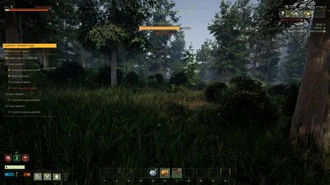 Forest настройки