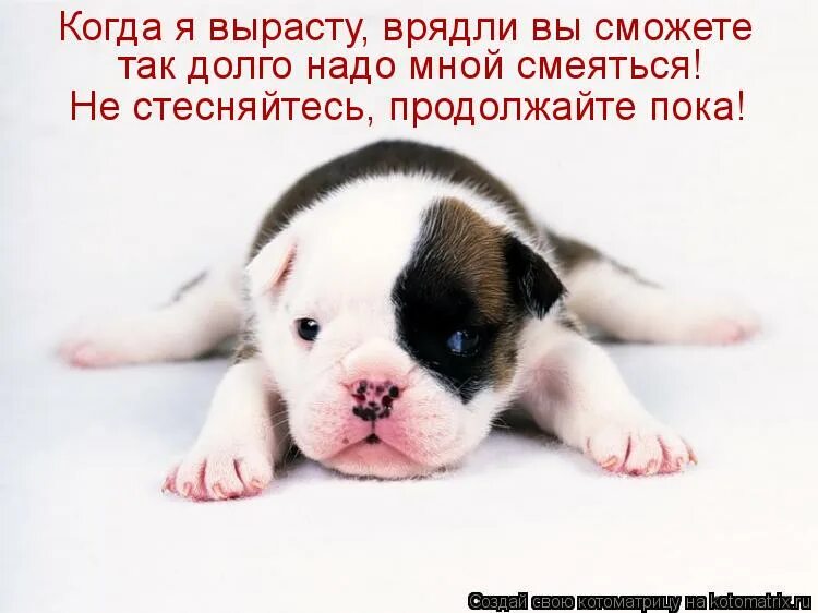 Настольные игры для компании мемы. Алкогольная настольная игра с мемами. Фото пока пока. Остановись и подумай картинки. Мем тони старк закатывает глаза.