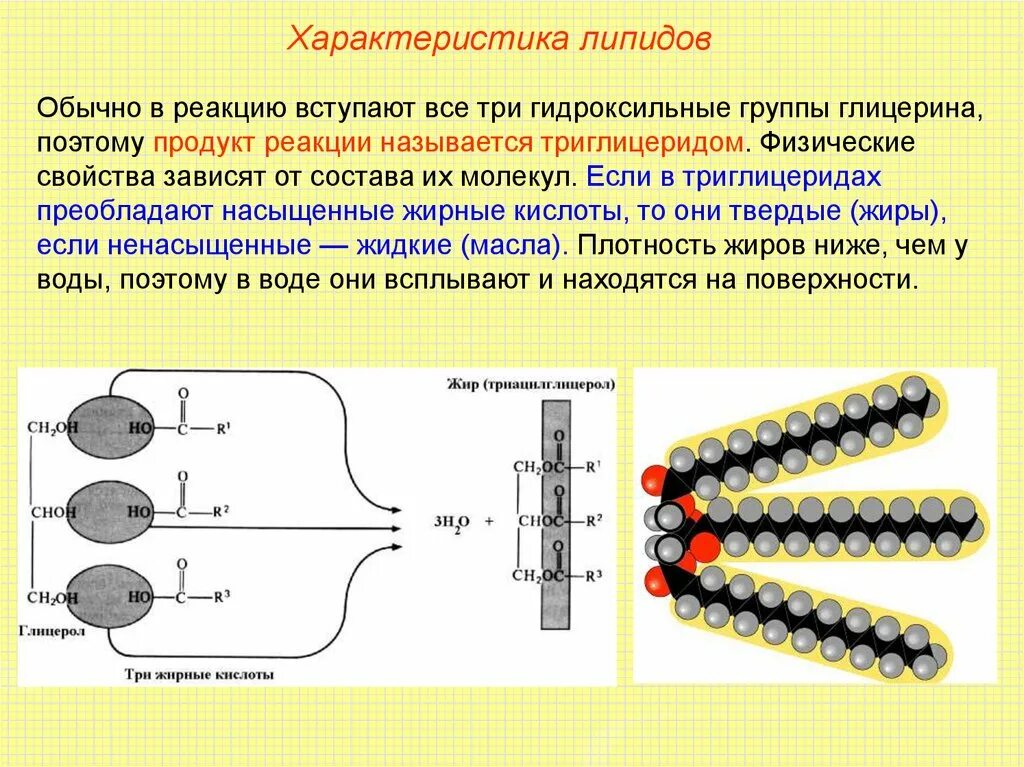 Липиды строение строение. Хим строение липидов. Состав липидов в биологии. Липиды мембран формулы. Жидкие жиры вступают в реакции