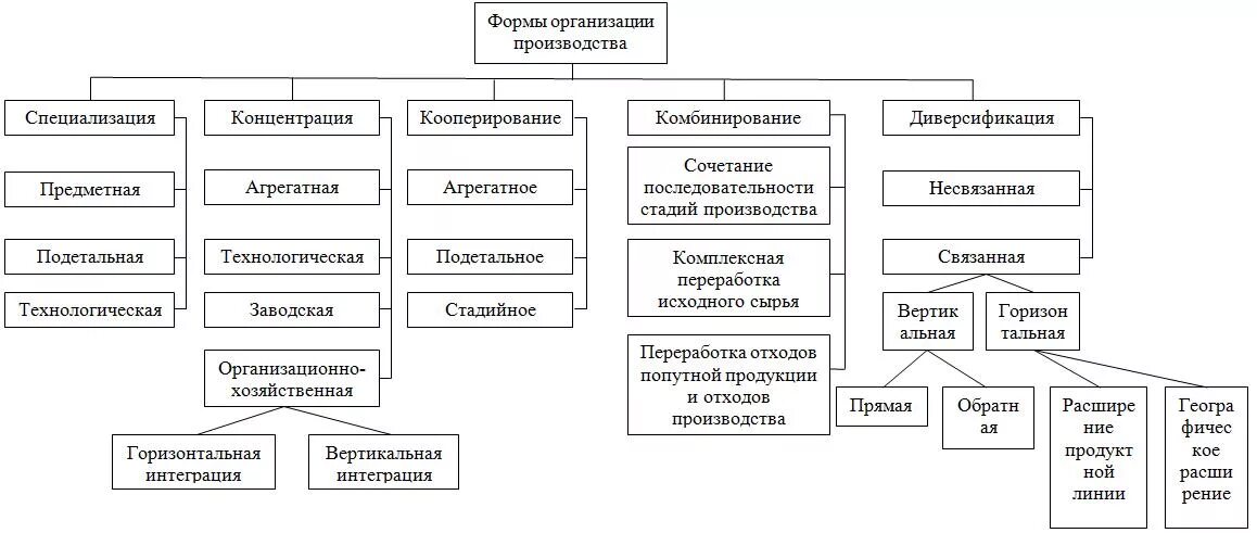 Реферат на тему организация предприятия