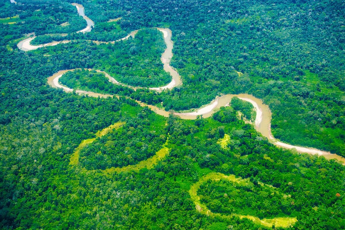 Река Амазонка в Бразилии. Южная Америка река Амазонка. Южная Америка Амазонская низменность. Бразилия Амазонская низменность.